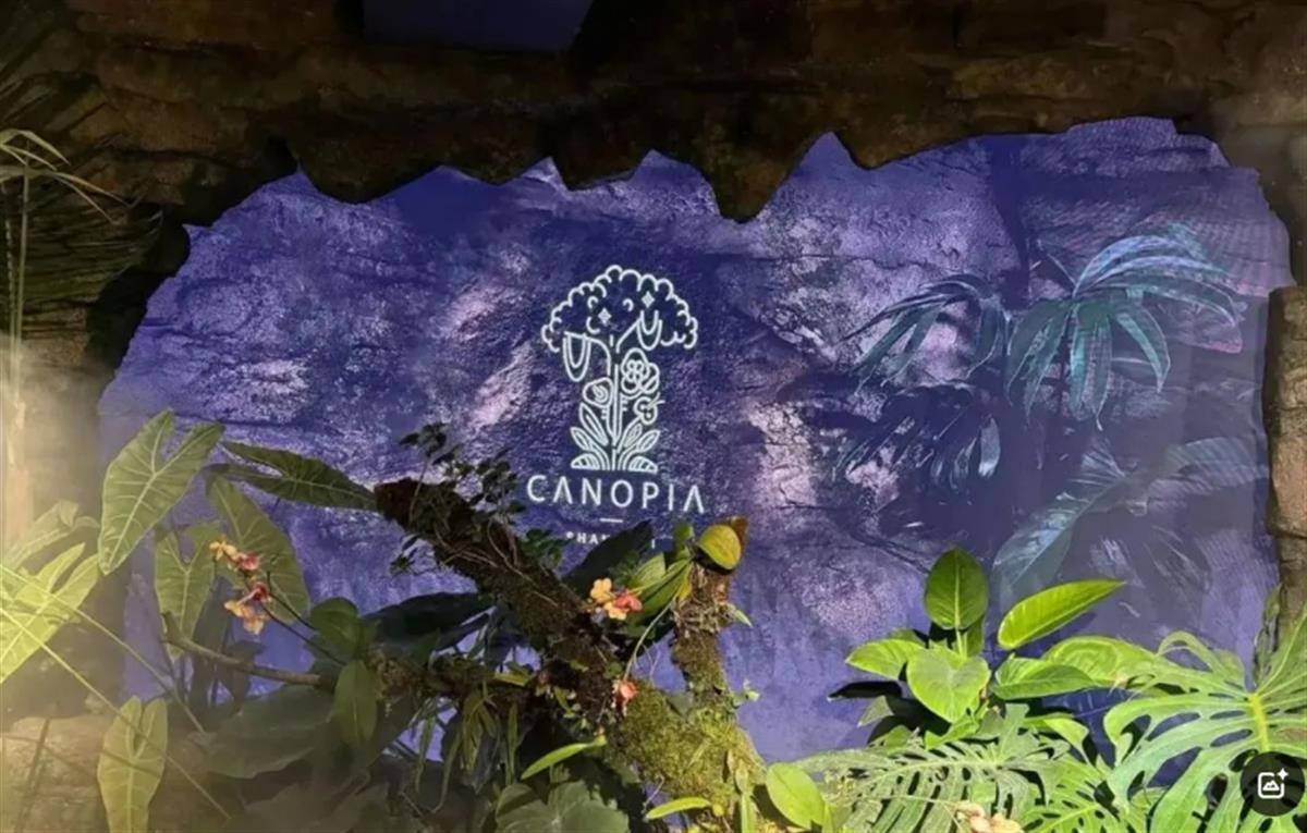 瑞士乙组联赛升级赛_用大象粪便做甜品的餐厅瑞士乙组联赛升级赛，因违反《食品安全法》被立案调查