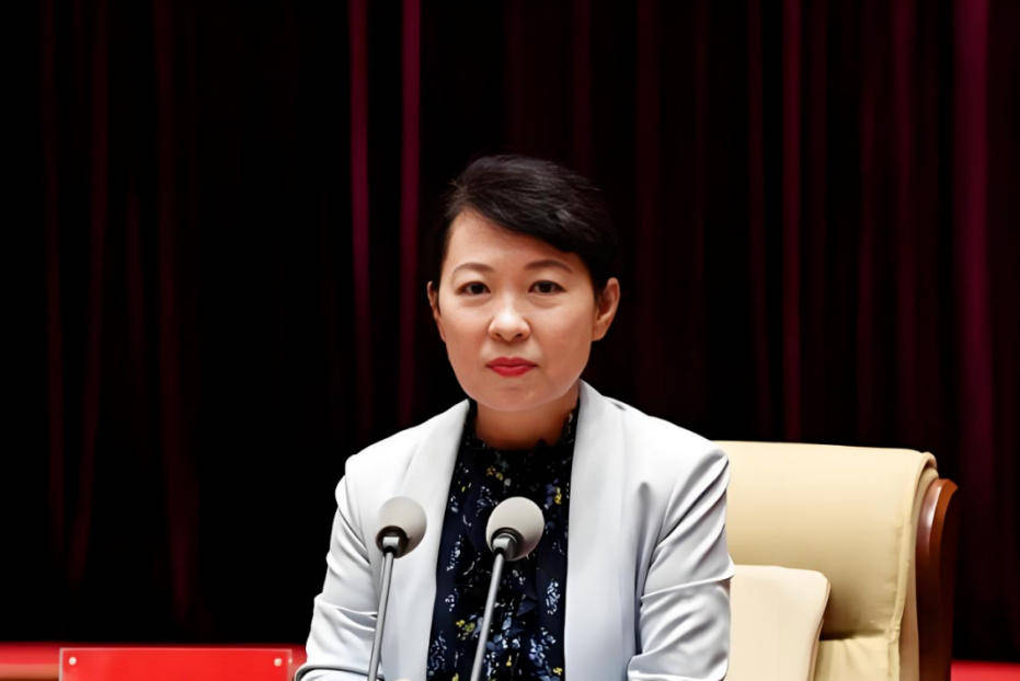 AC米兰vs克雷莫内塞_“换装主席”王莉霞的堕落：从光鲜人设到腐败深渊