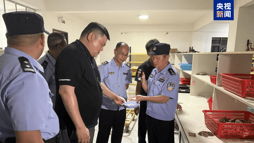 布里斯班城(女) vs伊斯特恩沙伯(女)_央视曝光后布里斯班城(女) vs伊斯特恩沙伯(女)，广东电白连夜行动，对5家企业立案调查