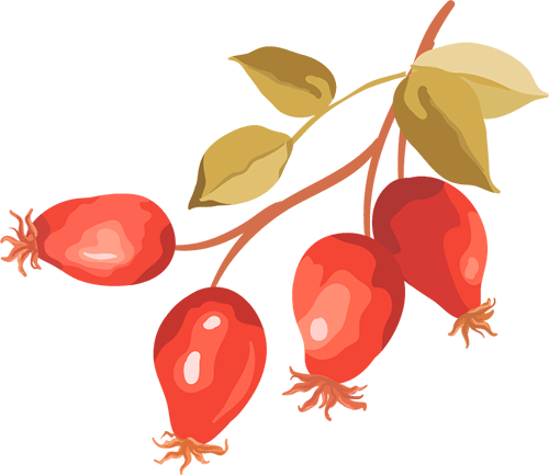 皇冠代理註冊_浙江工业大学姚建华教授：飞秒激光打造“防冰盔甲”皇冠代理註冊，超疏水表面光热防冰 又强又稳” | 中国激光·封面