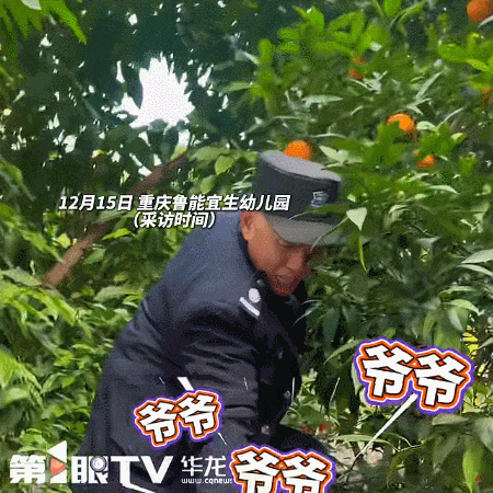 皇冠登一登二登三区别
_“爷爷 爷爷 爷爷……”重庆一幼儿园摘橘子场面火上热搜皇冠登一登二登三区别
!网友:大型葫芦娃喊爷爷现场