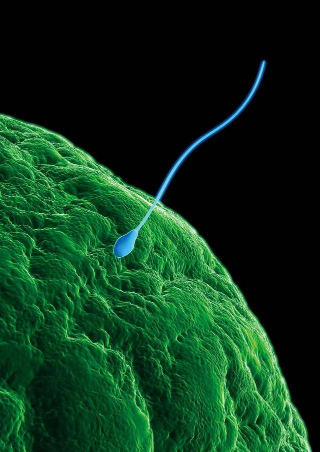 皇冠信用网注册_“捐精灾难”皇冠信用网注册,近200名新生儿极大概率患癌