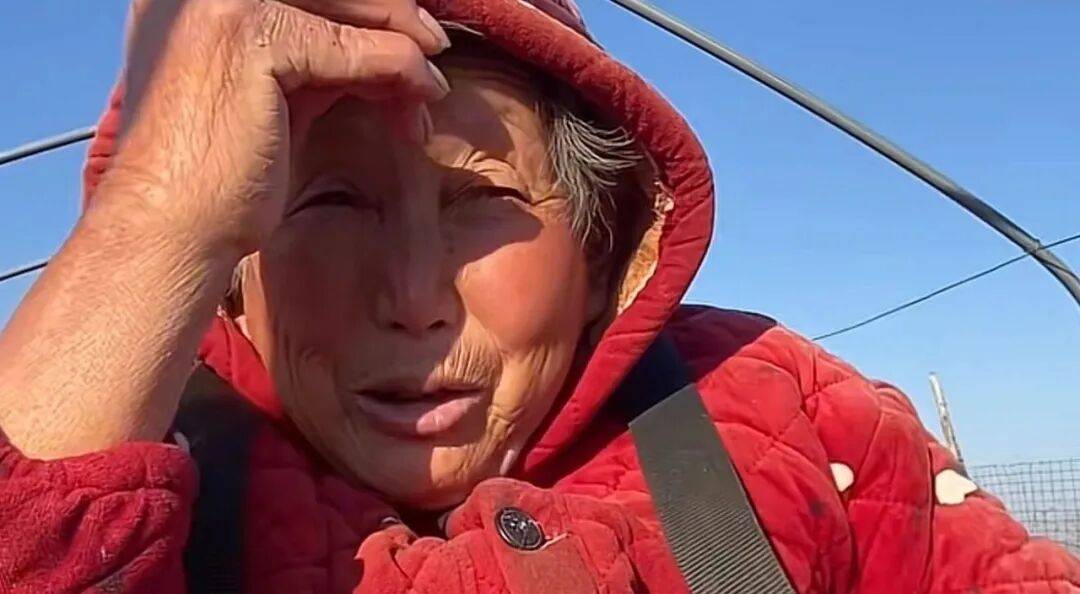 世界杯皇冠代理平台_河南69岁“红薯奶奶”轮椅上创业30余年世界杯皇冠代理平台，一年收益200多万，每年发出的工人工资至少60万