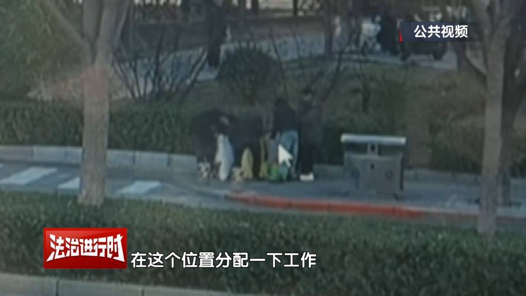 皇冠体育_北京警方刑拘4人：父亲带着儿子和女儿“扫楼式盗窃快递”