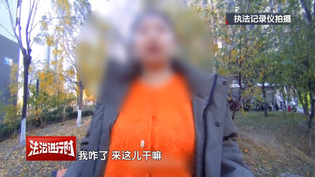 皇冠体育_北京警方刑拘4人：父亲带着儿子和女儿“扫楼式盗窃快递”